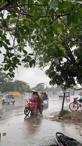 A video shows a rainy day scene on a street with a lot of traffic. The camera is positioned under a tree with green leaves. In the foreground, there is a red and yellow auto-rickshaw. In the background, there are other vehicles like cars, buses, and auto-rickshaws on the wet road. The sky is overcast and it appears to be raining. A bicycle is parked on the side of the road. The overall atmosphere is that of a busy street during a downpour.