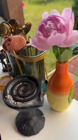 A close-up shot captures a delicate pink peony in a colorful, gradient vase. The flower is the primary subject, its soft petals filling the frame. The vase, featuring a transition from orange at the top to yellow at the bottom, is adorned with a subtle green leaf motif. To the left of the vase, a dark, spiral-shaped object, possibly an incense coil, rests in a black dish. Behind these items, a blurred background reveals glimpses of outdoor elements: a green grassy area, a wooden structure, and hints of other objects, including what appears to be a small, textured decorative item. The lighting suggests it could be daytime, with natural light illuminating the scene. The overall mood is serene and perhaps contemplative, highlighted by the focus on the natural beauty of the flower and the calm presence of the incense. The location context is specified as Тмз Снт, Russia. There is no visible text within the image.