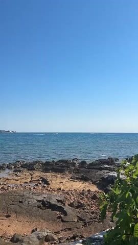 The video displays a seascape with a clear blue sky. The foreground features a rocky shore with sand and some green foliage on the right. The middle ground shows the calm, blue ocean with slight ripples. In the distance, a coastline with buildings and trees is visible under the bright sky. The camera is stationary, capturing a static view of the serene coastal environment.