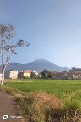 Open rural road stretches through dry Indonesian countryside