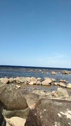 This is a vertical video of a rocky beach on a clear day. The camera is positioned low to the ground, looking out towards the ocean. Large, rounded rocks are in the foreground, with smaller rocks and pebbles stretching towards the water. The water is calm and appears to be shallow near the shore, with more rocks visible beneath the surface. The horizon is visible, with a clear blue sky overhead. The overall impression is one of a serene, natural landscape.