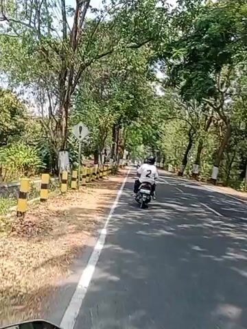 A single person rides a white scooter down a paved road lined with trees. The scooter is moving away from the camera. The rider is wearing a white shirt with a black number 2 on the back and a black helmet. The road has a white line marking the edge on the left. The left side of the road is a dirt shoulder with yellow and black striped bollards. Several trees with green leaves line both sides of the road, casting shadows on the pavement. On the left side of the road, there is a diamond-shaped yellow sign with a black border and an exclamation mark in the center. Another sign, also diamond-shaped and yellow with a black border, depicting two figures walking, is visible further down the road on the left. The sky is bright and appears to be sunny.