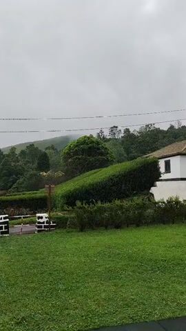 A vertical video shows a scenic view of rolling green hills and lush vegetation under a cloudy sky. In the foreground, a well-maintained lawn leads to a hedge, a decorative stone gate with black and white pillars, and further back, a vibrant green hillside covered in what appears to be tea plants. Trees of various sizes dot the landscape, creating a layered effect. The sky is overcast, suggesting a cool or possibly rainy day. A small, whimsical tree sculpture with brightly colored leaves is visible on the lawn in the latter part of the video. Power lines are faintly visible against the sky in the upper portion of the frame.