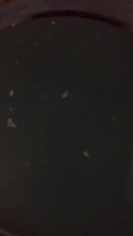 The video shows a close-up of a dark liquid with small white specks floating in it. The specks appear to be at different depths within the liquid. The lighting is dim, and the focus is soft, making it difficult to discern the exact nature of the specks or the liquid itself. The video is still and does not show any movement or action.