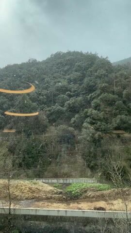 The video shows a hillside covered with trees under light snowfall.  The view is seen through a window, with reflections on the glass including a yellow curved shape and horizontal lines. Below the treeline is a strip of bare earth with some small patches of green vegetation, and a concrete structure, possibly a drain. Power lines are visible to the right. The sky is overcast.  The snow is falling lightly.