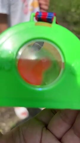 A close-up video focuses on a bright green, plastic toy with a circular, transparent dome in the center. Inside the dome, a bright orange object is visible. The toy has decorative butterfly and ladybug designs on its sides, and a red, blue, and black striped strap is attached to the top. The background is blurred but appears to be outdoors with green grass and a person's legs visible in the lower half of the frame. The toy is held by a hand in the foreground.