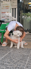 Boy plays with white dog in Đà Nẵng early morning