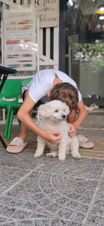 Boy plays with white dog in Đà Nẵng early morning