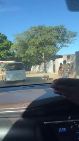 The video shows a view from inside a car, driving up to the entrance of the Sunbird Livingstonia Waterfront. The sign indicates Livingstonia to the right and Waterfront to the left. The car approaches the entrance slowly as construction is being done. There are men working near the entrance. Trees are visible on both sides of the road and the sky is blue. The car is driving on a dirt road. The dashboard clock shows 15:56.