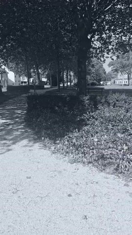 The black and white video shows a gravel path splitting into two, leading towards some buildings in the background. Trees flank the path and cast shadows on the ground. The camera moves to the right, revealing a residential street with cars parked and driving. A triangular street sign is visible on the sidewalk.