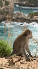 Tourists photograph, hula hoop at Nusa Penida clifftop viewpoints