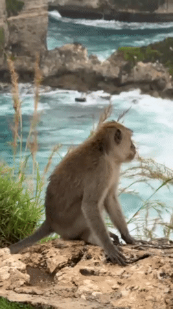Tourists photograph, hula hoop at Nusa Penida clifftop viewpoints