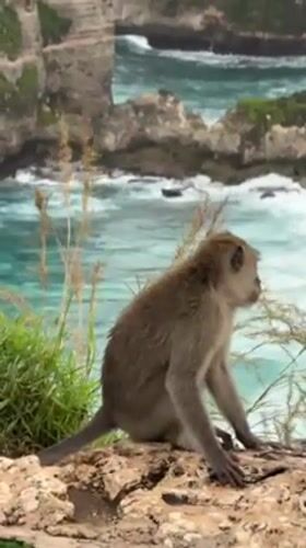 Tourists photograph, hula hoop at Nusa Penida clifftop viewpoints