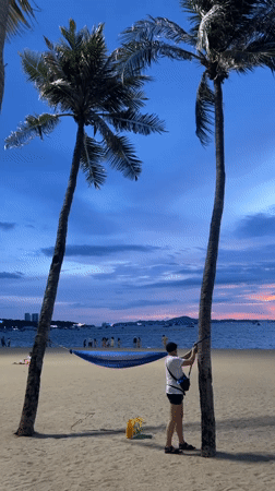 Beach hammocks, busy streets, and quirky rides in Pattaya