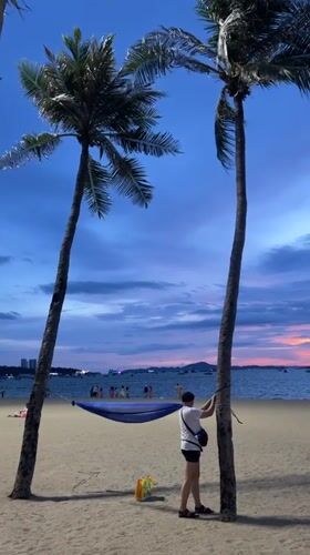 Beach hammocks, busy streets, and quirky rides in Pattaya