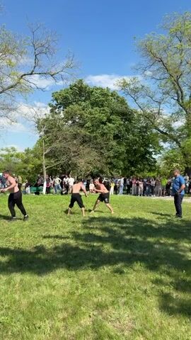 In a wide shot taken outdoors during daylight, two sets of two shirtless men wrestle on a green grassy area with scattered trees. They are surrounded by a crowd of people standing in the background, some of whom are watching the wrestling. The sky is blue and clear. The wrestlers are wearing shorts, and their bodies are sweaty. The trees in the background are mostly bare, with some green leaves. The scene is bright and sunny.