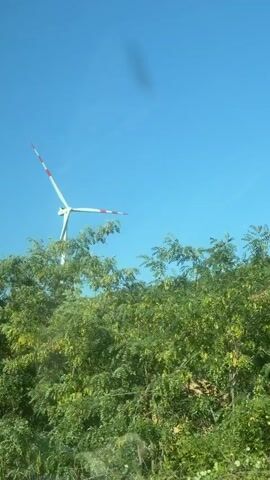 A wind turbine with white blades and red stripes at the tips is shown against a clear blue sky. The turbine is situated on a hill covered in green foliage. The camera angle is slightly tilted and appears to be from a moving vehicle, as evidenced by the slight blur in the foreground and the shifting perspective. The turbine's blades are rotating, though the speed is not explicitly clear.