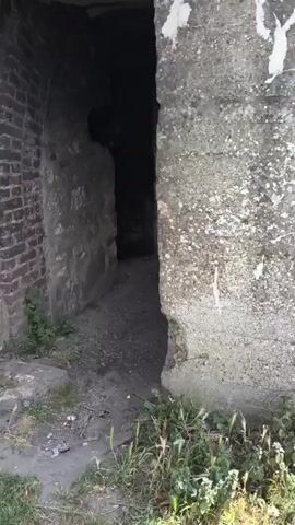 The video shows a person walking through a narrow, outdoor passageway. The passageway is made of stone and brick walls, and the ground is covered in dirt and gravel. There is vegetation growing on the left side of the passageway. The person is walking towards an opening at the end of the passageway, where there is bright sunlight and more vegetation. The video is shot from a first-person perspective, so the viewer sees what the person sees.