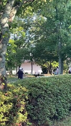 The video shows an outdoor scene with several people in a park-like setting. In the foreground, there is lush green shrubbery. Behind the shrubbery, a paved path is visible. Several trees with green foliage are present, casting shadows. In the background, a light-colored building with a darker roof can be seen. There are at least three individuals visible. One person on the left is wearing a dark top and a white hat, holding what appears to be a phone or camera and pointing it upwards. Another person, further back and to the right, is wearing a pinkish top and dark bottoms, holding something in their hands. A third person, also to the right and slightly behind the second, is wearing a dark top and light bottoms, standing near a small table or bench. The lighting suggests it is daytime, likely morning or afternoon, with sunlight filtering through the trees.