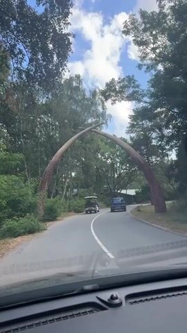 A car's dashcam footage shows a paved road curving through a wooded area. Two large, curved structures, resembling tusks, arch over the road. A golf cart and a blue car are driving away from the camera on the road. Trees and foliage line both sides of the road. The sky above is cloudy.
