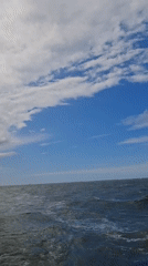 Vessel passenger records ocean view near Dutch coast