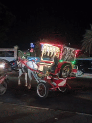 Sragen's nightlife strip: carriages, traffic, and Padang food