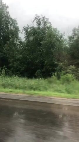 The video shows a blurry view from a vehicle moving along a wet road. Trees and green grass are visible on the side of the road, and the sky appears overcast. There are no people or distinct objects clearly visible due to the motion blur and low visibility. The overall scene suggests a cloudy, possibly rainy day, with the focus being on the movement and the passing landscape.