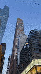 Midtown Manhattan at dusk: skyline geometry and a lion in a shop window