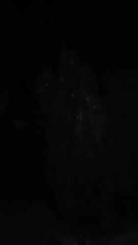A very dark video captures a silhouette of a coniferous tree at night. The tree has some white objects scattered throughout its branches, possibly pinecones or decorations. To the left of the tree, a faint light from a window is visible. The camera appears to be held and is moving slightly.