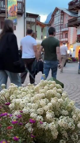 The video shows a street scene with people walking by, some in the foreground and others further away. In the immediate foreground, there is a cluster of small white flowers with some purple flowers interspersed. Beyond the flowers, people are walking on a paved street. Several individuals are visible, including a woman in a black jacket and light-colored pants, a man in a white shirt, and another man in a dark green shirt and blue jeans. A small dog on a leash is walking with the couple in the dark green shirt and blue jeans. Further in the background, more people are walking, and cars are parked on the side of the street. The buildings lining the street have traditional alpine architecture with wooden balconies and pitched roofs. The lighting suggests it is either late afternoon or early evening, with the sky appearing to be dusk. A banner hangs from a building on the left side of the frame. The overall atmosphere appears to be leisurely, with people strolling through the town.