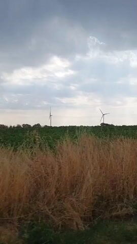 The video shows a landscape with two wind turbines in the distance, silhouetted against a cloudy sky. In the foreground, there is tall, dry grass. The overall scene suggests a rural or agricultural setting. There are no people or specific actions visible.