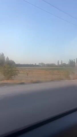 This video appears to be filmed from inside a moving vehicle, looking out a window. The scene is a rural landscape under a clear blue sky. A paved road is visible in the foreground, with a blurred grassy or dry field stretching out behind it. Scattered trees and some greenery are present in the middle ground, and a line of taller trees forms a distant horizon. There are no people or discernible animals in the frame, and no specific actions are taking place beyond the implied movement of the vehicle. The overall impression is one of travel through a somewhat arid or agricultural region.