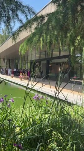 A bright, sunny day in Rapperswil-Jona, Switzerland, showcases a serene outdoor setting with a focus on a modern building and a tranquil pond. The scene is framed by lush green foliage, with pine branches and tall grasses in the foreground, some bearing purple iris flowers.

In the midground, a sleek, contemporary building with a wooden facade and expansive glass windows runs along the edge of a still, green pond. A wooden deck borders the pond and the building, providing an elegant walkway. On this deck, a gathering of people are seated on chairs, arranged in rows, facing towards the building's entrance. Some individuals stand, suggesting a ceremony or event is in progress. There are also two empty chairs with pink floral arrangements, hinting at a wedding or a formal occasion. A person in a dark suit stands near the entrance of the building, possibly officiating or welcoming guests.

The time of day appears to be late morning or early afternoon, given the strong sunlight casting shadows and illuminating the scene. The weather is clear and pleasant, ideal for an outdoor gathering. The overall atmosphere is one of calm and sophistication, with the natural beauty of the pond and greenery complementing the modern architecture. No visible text is present in the media file.