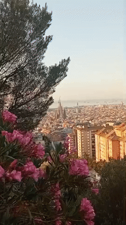 Barcelona at golden hour, Sagrada Família front and center