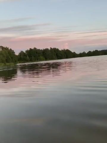 A calm lake reflects the sky, which is painted with streaks of pink and blue clouds at dusk. The shoreline is lined with a dense forest of green trees. The camera is positioned low, likely at water level, giving a sense of immersion in the tranquil environment. The water has gentle ripples, suggesting a slight breeze. No people or man-made objects are visible.