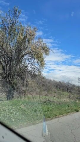 A vehicle is traveling on a gray asphalt road with a broken white line. The sky is bright blue with scattered white clouds. On the left side of the road, a grassy slope leads up to a hillside covered with deciduous trees, most still bare of leaves, though some have begun to sprout new green buds. A few branches are visible on the left. On the right, more trees, with some greenery, and a grassy verge next to the road. The shot is taken from inside the car, with the windshield visible at the bottom. There is no sound.
