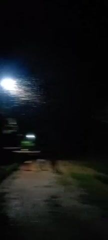 The video shows a street lamp at night, illuminated and casting a bright light into the dark. Numerous insects are flying around the lamp, appearing as small, shimmering dots in the light. Below the lamp, there is a patch of green vegetation, likely plants or crops, which are illuminated by the lamp's glow. The background is dark and indistinct, suggesting a rural or natural setting. The camera appears to be stationary, capturing the scene as it unfolds.
