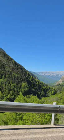 Morning nature observations recorded in Benasque mountain valley