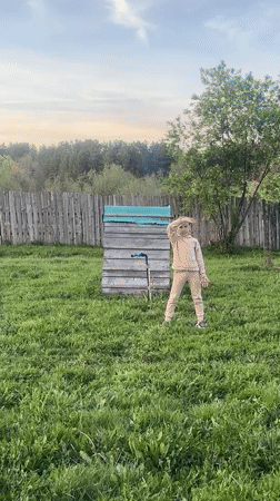 Family backyard activities captured in Rusalevka, Russia afternoon