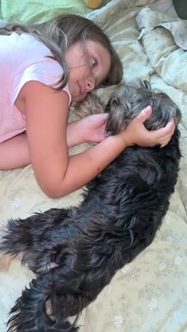 In this media file, a young girl with long, light brown hair is lying on a bed next to a shaggy, dark-colored dog. The girl is wearing a pink t-shirt and is hugging the dog, resting her head against its body. Her eyes are closed, suggesting she might be asleep or resting peacefully. The dog, also resting, has its head turned towards the girl, and its fur appears somewhat damp or tousled.

The setting appears to be indoors, on a bed with a patterned beige duvet cover featuring small white floral designs. A textured green fabric, possibly a blanket or the headboard of the bed, is visible at the top left of the frame. The overall lighting suggests it could be daytime, though the specific time is not discernible. The mood conveyed is one of comfort, affection, and companionship between the child and her pet. The scene evokes a sense of quiet intimacy and warmth. There is no visible text in the media file.