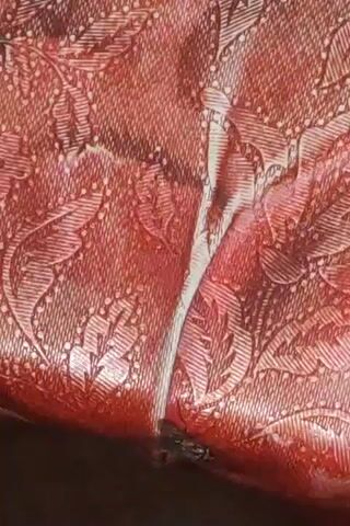 The video shows a close-up of a damaged red patterned surface, likely fabric or upholstery. A significant tear is visible in the center, revealing a lighter colored material underneath. A small insect, possibly a fly, is perched on the edge of the tear at the bottom of the frame. The background is dark and out of focus.