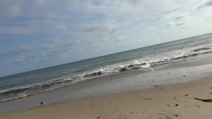 A view of a beach with gentle waves rolling onto the shore. The sand is a light brown, and there are some scattered pieces of dried seaweed. A solitary seagull stands on the sand near the waterline. The ocean is a deep blue-green, and the sky above is a pale blue with scattered white clouds. The camera is angled slightly, giving a tilted perspective of the scene.