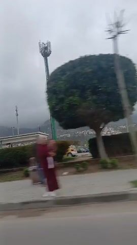 The video shows a drive-by view of a cityscape on a cloudy day. The camera captures a street with a sidewalk featuring manicured lawns and topiaries shaped like globes.  A series of these trees line the road, interspersed with regular trees and traditional street lamps.  Cars can be seen driving on the road. In the background, buildings with white facades and green accents are visible, along with distant hills shrouded in mist.  A cell tower is visible in the background, positioned behind one of the globe-shaped trees.