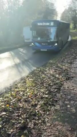 The video begins with a blue bus labeled "Ruthe Circular H" driving on a narrow road next to a wooded area. Sunlight is visible, casting shadows. The camera then follows a small child with curly hair, wearing a purple jacket, walking on a path covered with leaves next to the road. A stroller is visible.  A white van drives on the road next to the path. The area appears to be a park or wooded area adjacent to a road.
