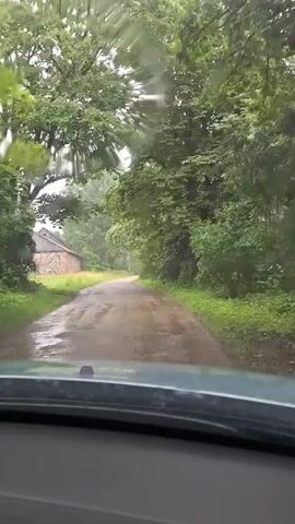 The video is filmed from the inside of a vehicle, looking forward through the windshield. The vehicle is on a dirt road that appears to be wet and somewhat muddy, with puddles visible. On the left side of the road, there is a large, old stone building with a wooden roof, possibly a barn or a shed, situated in a grassy area. To the right of the road, there is a dense line of trees and greenery. The sky is overcast, suggesting it may be raining or has recently rained. The overall environment appears to be rural and somewhat desolate. The video is short, with no discernable actions or interactions other than the implied movement of the vehicle along the road.