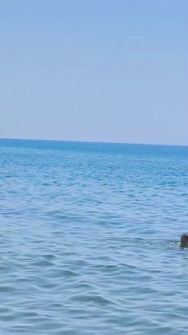 A person is swimming in the ocean. The water is calm and clear with gentle waves. The sky is a clear blue. The camera pans down to the water's surface, showing sunlight reflecting on the waves.