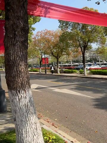 The scene is a sunny, urban street with trees lining the sidewalk. The trees near the camera are painted white at the base. A red banner is draped above the street. A person wearing dark clothing and a white shirt or jacket is walking on the sidewalk away from the camera. Cars are parked on the opposite side of the street behind a hedge. The road has a white arrow painted on it. Leaves are scattered along the curb.