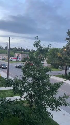 The video shows a view from an elevated position looking down at a street with some trees and buildings in the background. The sky is cloudy and overcast, suggesting it may be early morning or late evening. There are several cars driving on the street. In the foreground, there is a lush green tree with red berries. The overall scene is peaceful and mundane, depicting a typical urban or suburban environment. There are no visible people in the video, and the actions are limited to the movement of the cars.