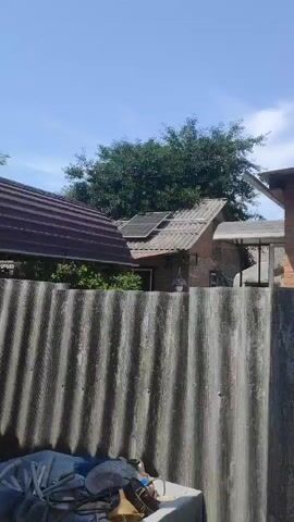 The video shows a backyard scene on a sunny day. In the foreground, there is a corrugated metal fence. Behind the fence, there is a rooftop with solar panels. Trees and a building are also visible in the background. The sky is clear and blue.