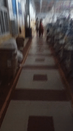 Avinashi, India